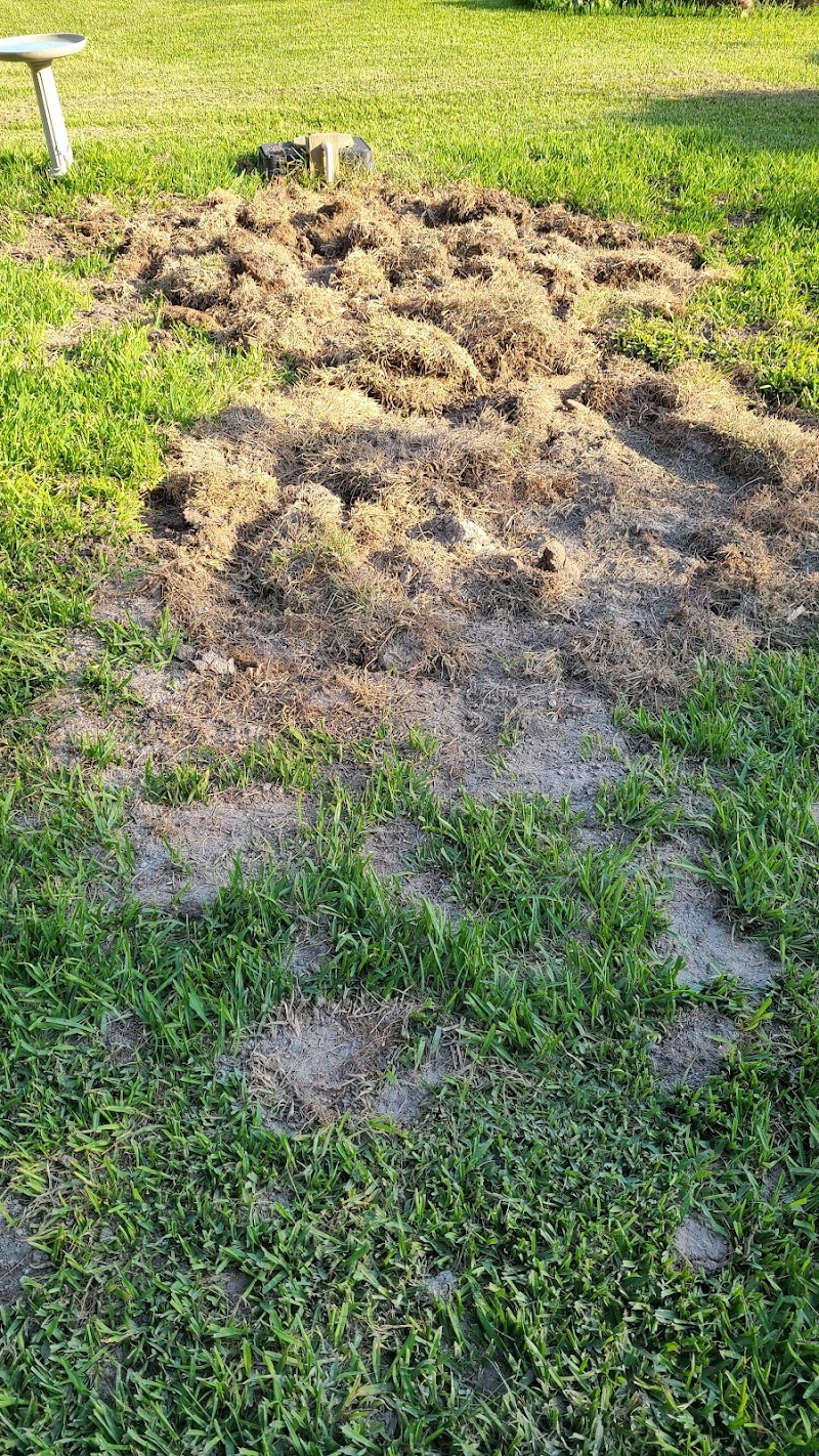 Professional septic repair service